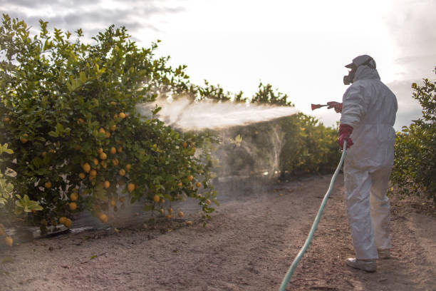 Best Wildlife Control Services  in Fairfield, TX